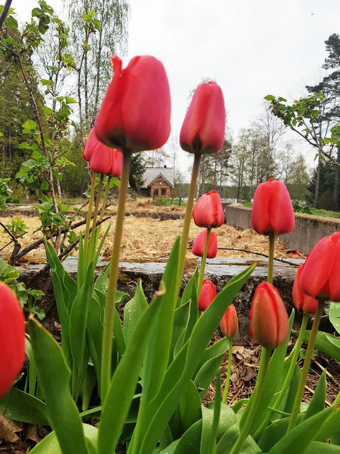 Garpenbergs B&B, Bnb Eksteriør bilde